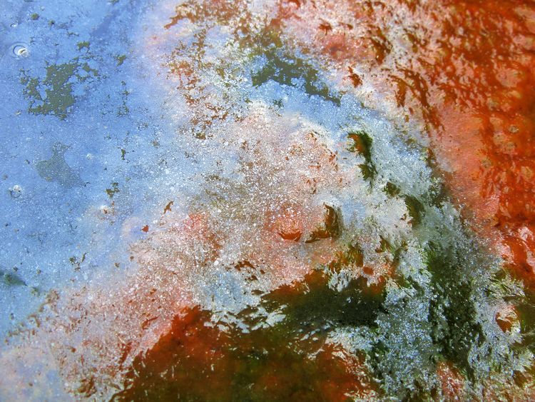 Paint water pollution
