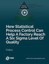 Six Sigma Level Of Quality